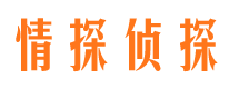 沿滩外遇出轨调查取证